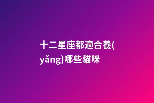 十二星座都適合養(yǎng)哪些貓咪-第1張-星座運(yùn)勢(shì)-玄機(jī)派