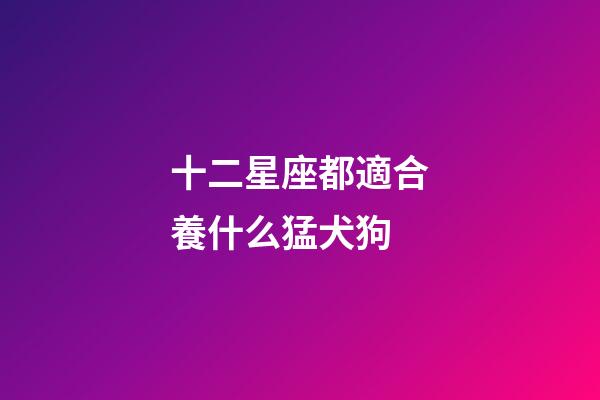 十二星座都適合養什么猛犬狗-第1張-星座運勢-玄機派
