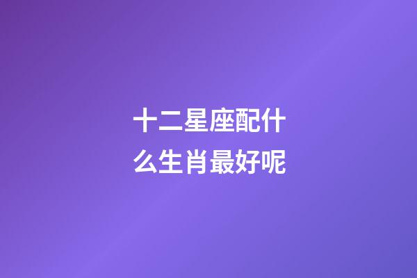 十二星座配什么生肖最好呢-第1張-星座運勢-玄機派