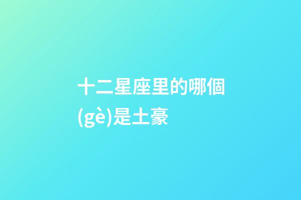 十二星座里的哪個(gè)是土豪-第1張-星座運(yùn)勢(shì)-玄機(jī)派