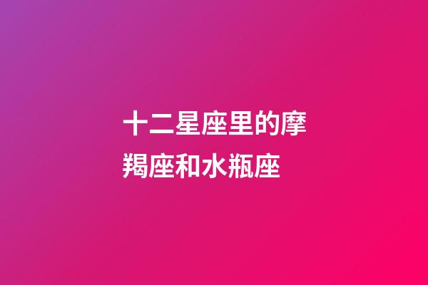 十二星座里的摩羯座和水瓶座-第1張-星座運勢-玄機派