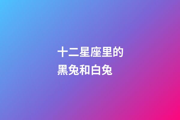 十二星座里的黑兔和白兔-第1張-星座運勢-玄機派