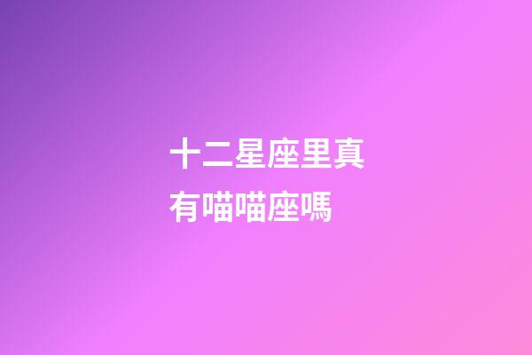 十二星座里真有喵喵座嗎