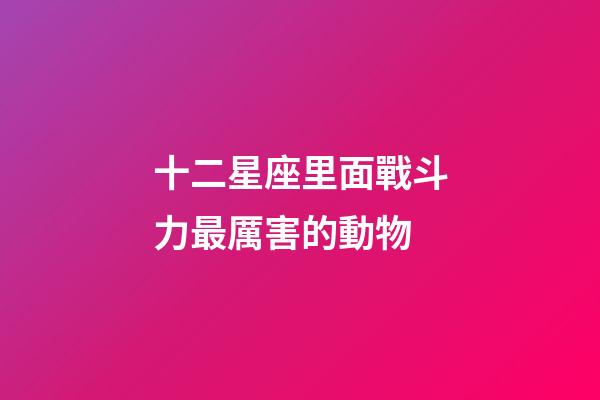 十二星座里面戰斗力最厲害的動物-第1張-星座運勢-玄機派
