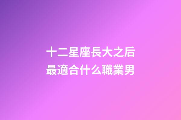 十二星座長大之后最適合什么職業男-第1張-星座運勢-玄機派