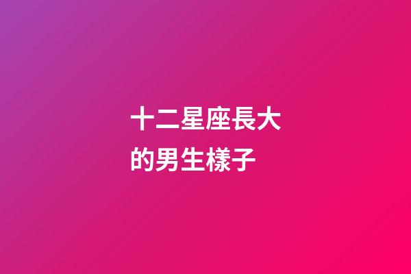 十二星座長大的男生樣子-第1張-星座運勢-玄機派