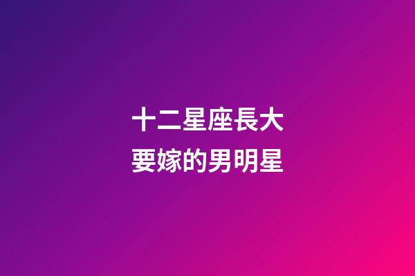 十二星座長大要嫁的男明星-第1張-星座運勢-玄機派