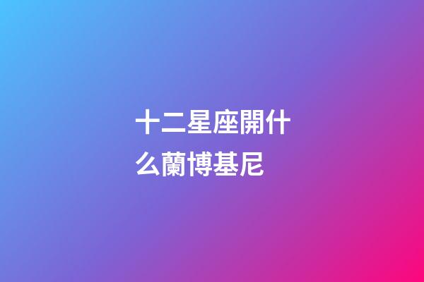 十二星座開什么蘭博基尼-第1張-星座運勢-玄機派
