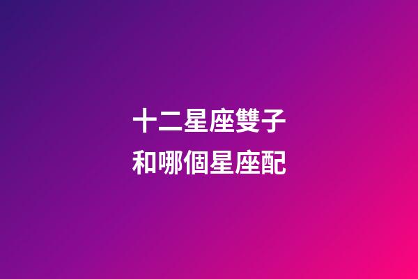 十二星座雙子和哪個星座配-第1張-星座運勢-玄機派