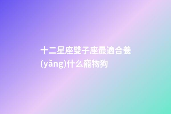 十二星座雙子座最適合養(yǎng)什么寵物狗-第1張-星座運(yùn)勢-玄機(jī)派