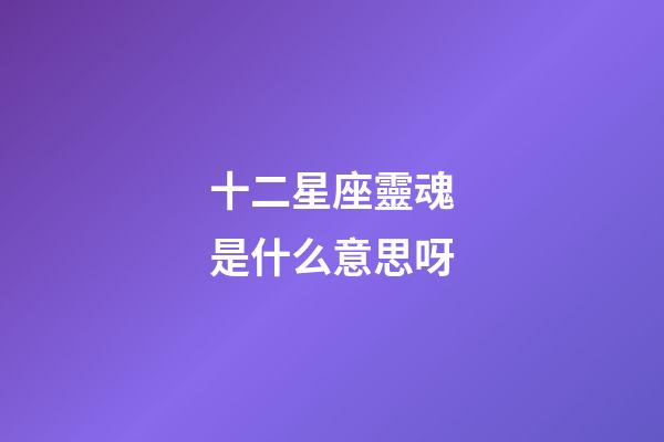 十二星座靈魂是什么意思呀-第1張-星座運勢-玄機派