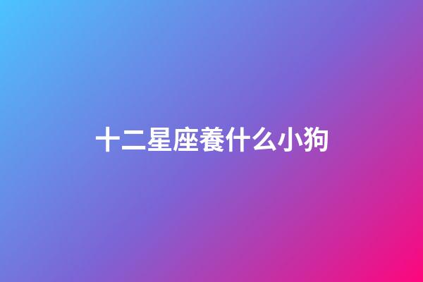 十二星座養什么小狗-第1張-星座運勢-玄機派