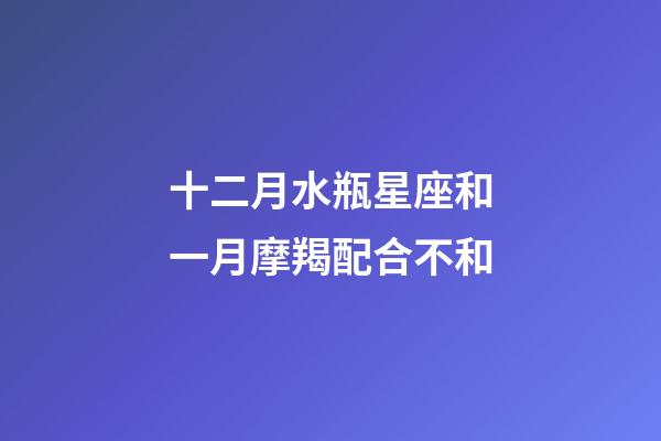 十二月水瓶星座和一月摩羯配合不和-第1張-星座運(yùn)勢-玄機(jī)派