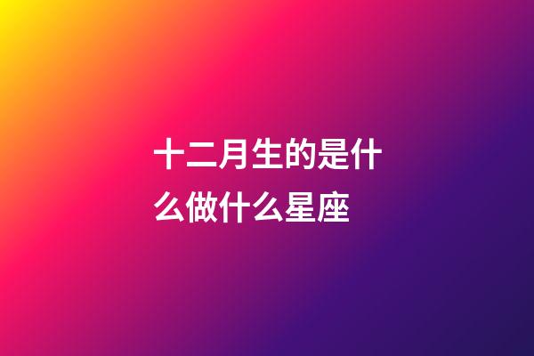 十二月生的是什么做什么星座-第1張-星座運勢-玄機派