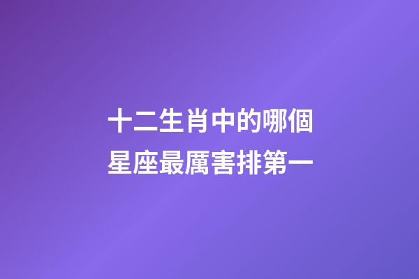 十二生肖中的哪個星座最厲害排第一-第1張-星座運勢-玄機派