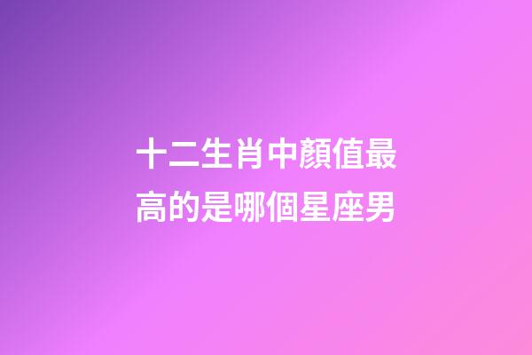 十二生肖中顏值最高的是哪個星座男-第1張-星座運勢-玄機派
