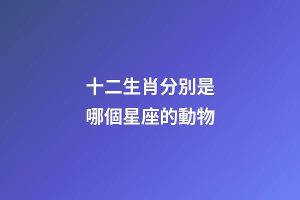 十二生肖分別是哪個星座的動物-第1張-星座運勢-玄機派