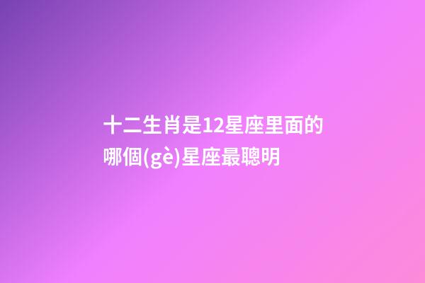 十二生肖是12星座里面的哪個(gè)星座最聰明-第1張-星座運(yùn)勢(shì)-玄機(jī)派