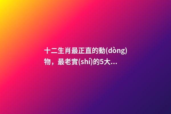 十二生肖最正直的動(dòng)物，最老實(shí)的5大生肖-第1張-觀點(diǎn)-玄機(jī)派