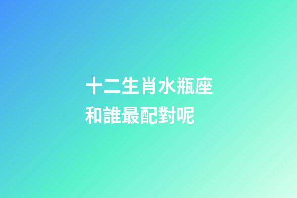 十二生肖水瓶座和誰最配對呢-第1張-星座運勢-玄機派