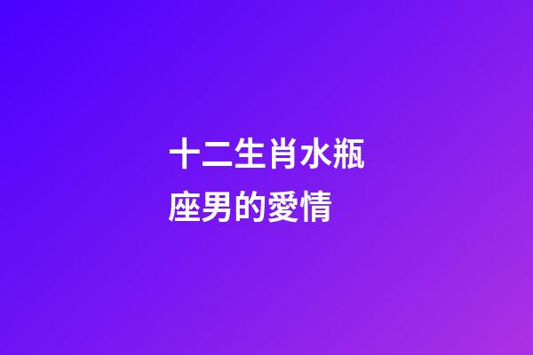 十二生肖水瓶座男的愛情-第1張-星座運勢-玄機派