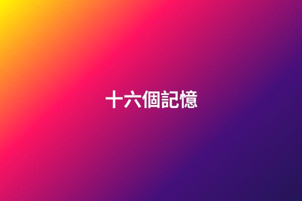 十六個記憶