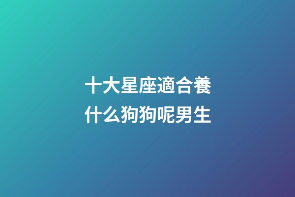 十大星座適合養什么狗狗呢男生-第1張-星座運勢-玄機派