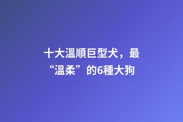十大溫順巨型犬，最“溫柔”的6種大狗-第1張-觀點-玄機派