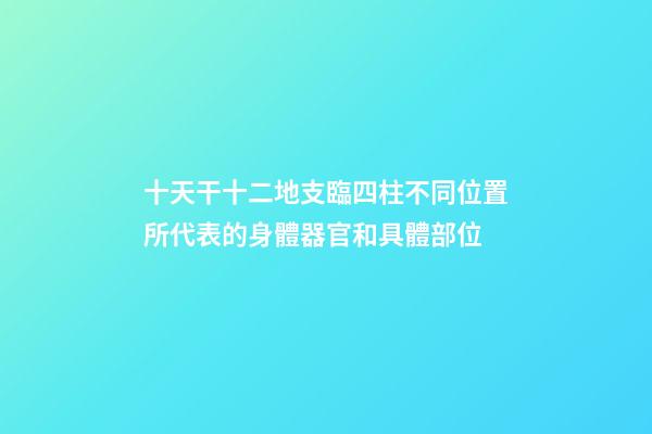 十天干十二地支臨四柱不同位置所代表的身體器官和具體部位