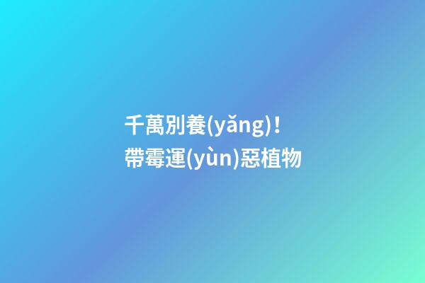千萬別養(yǎng)！帶霉運(yùn)惡植物