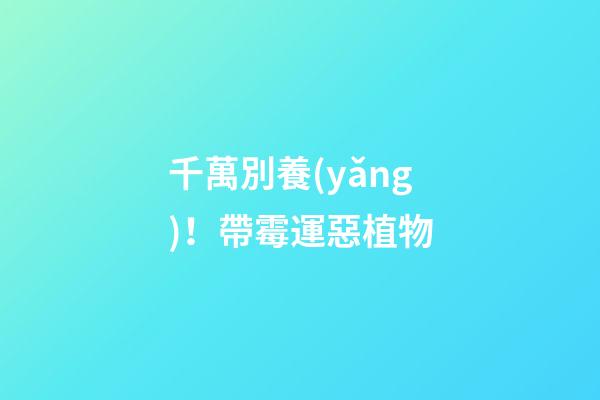 千萬別養(yǎng)！帶霉運惡植物
