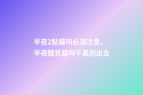 半夜2點貓叫必須注意，半夜聽見貓叫千萬別出去-第1張-觀點-玄機(jī)派