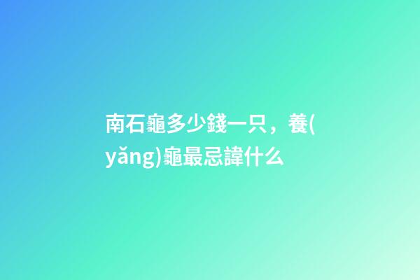 南石龜多少錢一只，養(yǎng)龜最忌諱什么-第1張-觀點-玄機派