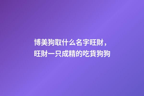 博美狗取什么名字旺財，旺財一只成精的吃貨狗狗-第1張-觀點-玄機派