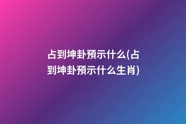 占到坤卦預示什么(占到坤卦預示什么生肖)