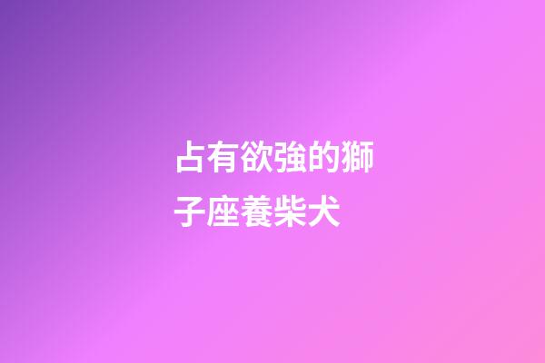 占有欲強的獅子座養柴犬-第1張-星座運勢-玄機派