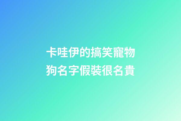卡哇伊的搞笑寵物狗名字假裝很名貴