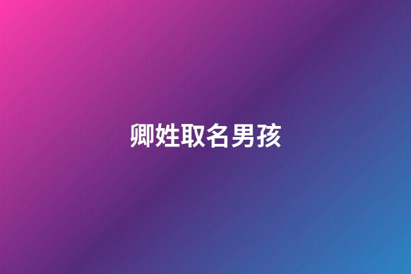 卿姓取名男孩(男孩姓卿配哪個字好聽)-第1張-男孩起名-玄機派