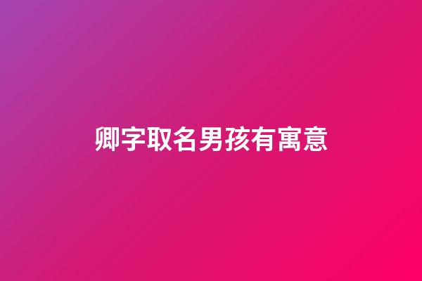 卿字取名男孩有寓意(卿取名有什么寓意)-第1張-男孩起名-玄機(jī)派