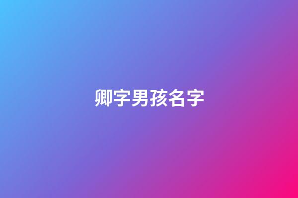 卿字男孩名字(卿字男孩名字寓意)-第1張-男孩起名-玄機派