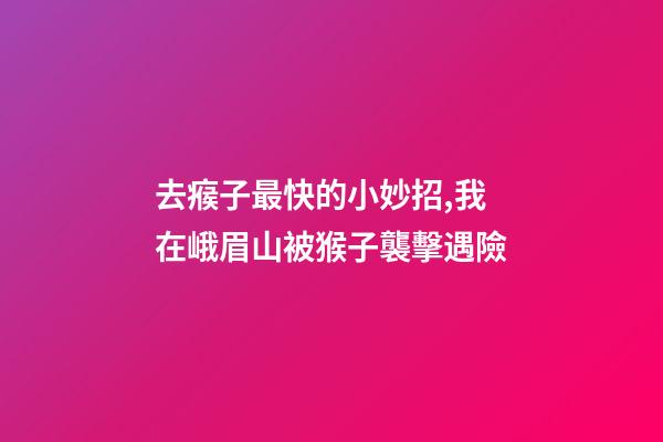 去瘊子最快的小妙招,我在峨眉山被猴子襲擊遇險-第1張-觀點-玄機派