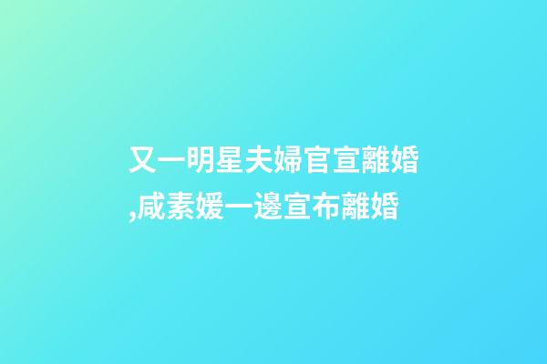 又一明星夫婦官宣離婚,咸素媛一邊宣布離婚-第1張-觀點(diǎn)-玄機(jī)派
