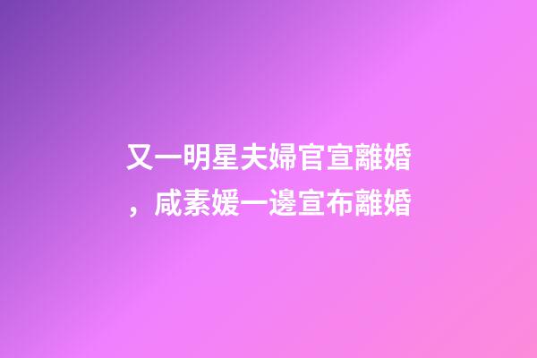 又一明星夫婦官宣離婚，咸素媛一邊宣布離婚-第1張-觀點(diǎn)-玄機(jī)派