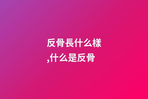 反骨長什么樣,什么是反骨