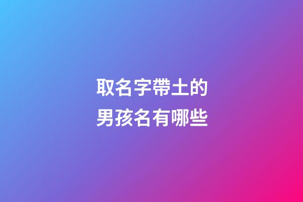 取名字帶土的男孩名有哪些(取名字帶土的男孩名字大全)-第1張-男孩起名-玄機派