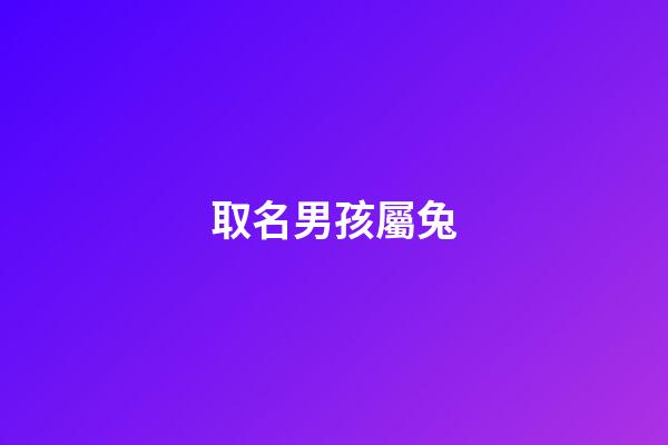 取名男孩屬兔(男孩屬兔起什么名字好)-第1張-男孩起名-玄機派