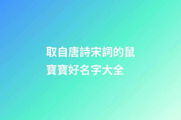 取自唐詩宋詞的鼠寶寶好名字大全