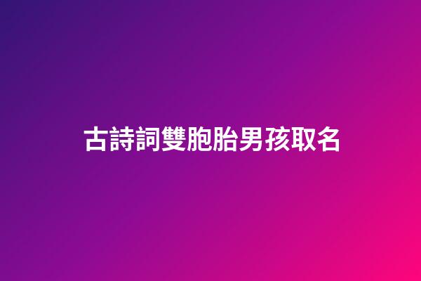 古詩詞雙胞胎男孩取名(詩句中好聽的雙胞胎名字)-第1張-男孩起名-玄機派