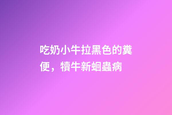 吃奶小牛拉黑色的糞便，犢牛新蛔蟲病-第1張-觀點-玄機派