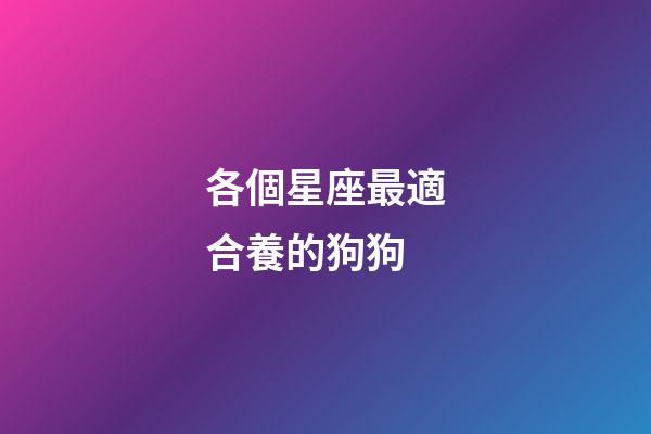 各個星座最適合養的狗狗-第1張-星座運勢-玄機派